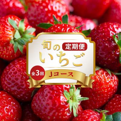 ふるさと納税 丸亀市 [発送月固定定期便]フルーツ定期便 Jコース(さぬきひめ)全3回