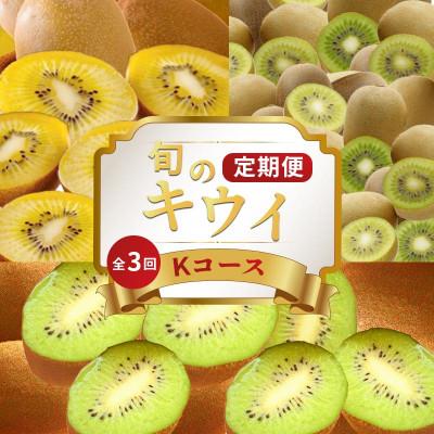 ふるさと納税 丸亀市 [発送月固定定期便]フルーツ定期便 Kコース(ゴールドキウイ キウイっこ 香緑キウイ)全3回