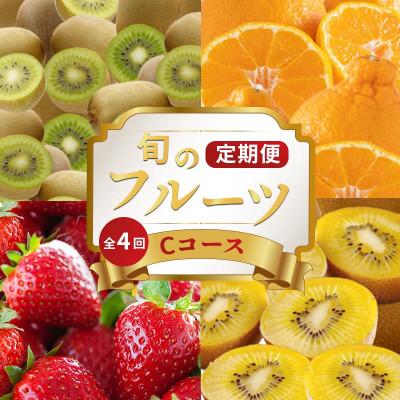 ふるさと納税 丸亀市 [発送月固定定期便]フルーツ定期便 Cコース(ゴールドキウイ キウイっこ デコポン いちご)全4回