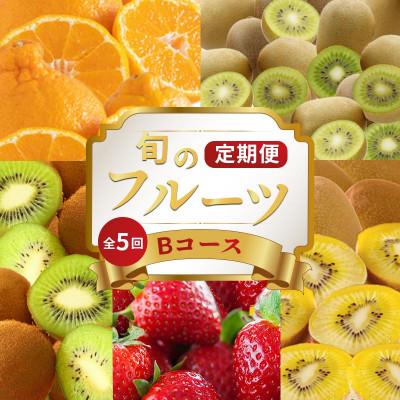 ふるさと納税 丸亀市 [発送月固定定期便]フルーツ定期便 Bコース (キウイ3種 デコポン いちご)全5回