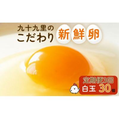 ふるさと納税 匝瑳市 [毎月定期便]九十九里ファームこだわりたまご贈答用30個〜あおい海・みどりの里〜[白玉]全3回