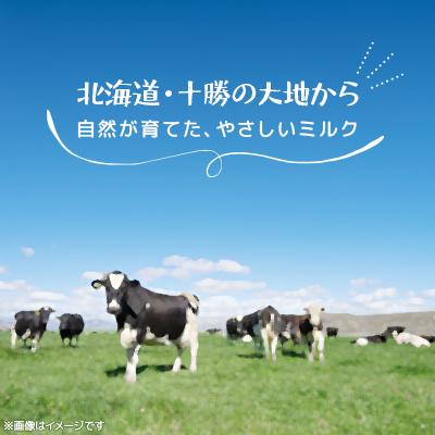 ふるさと納税 鹿追町 【毎月定期便】風景の牛乳 500ml　牧場てづくりのむヨーグルト 500g　各3本全3回_2