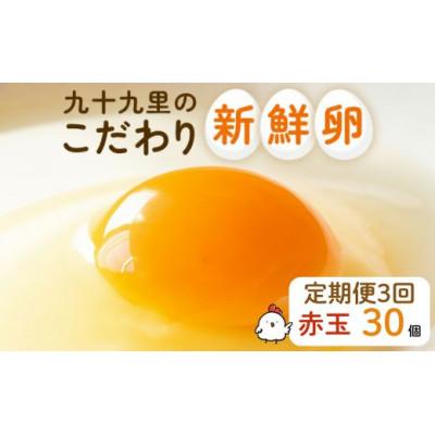 ふるさと納税 匝瑳市 [毎月定期便]九十九里ファームこだわりたまご贈答用30個〜あおい海・みどりの里〜[赤玉]全3回