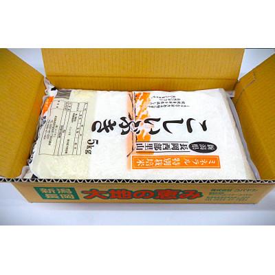 ふるさと納税 新潟県 【毎月定期便】新潟県産こしいぶき(特別栽培米)5kg全6回の画像
