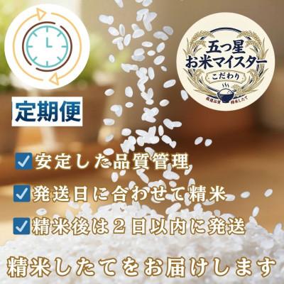 ふるさと納税 吉野ヶ里町 【毎月定期便】『さがびより』白米6kg(3kg×2袋)(吉野ヶ里町)全5回の画像