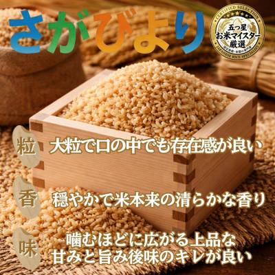 ふるさと納税 吉野ヶ里町 【毎月定期便】【玄米】さがびより10kg(5kg×2袋)(吉野ヶ里町)全3回の画像