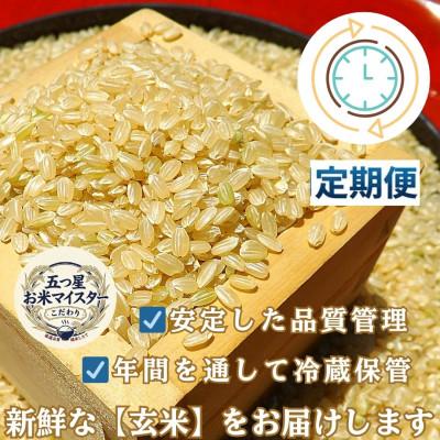 ふるさと納税 吉野ヶ里町 【毎月定期便】【玄米】さがびより10kg(5kg×2袋)(吉野ヶ里町)全3回の画像