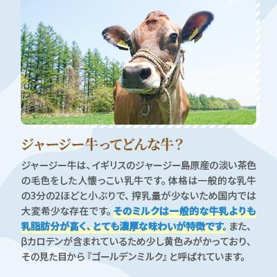 ふるさと納税 鹿追町 【毎月定期便】十勝ジャージーセット 小 各6本(飲むヨーグルト150g・牛乳200ml)全3回_2