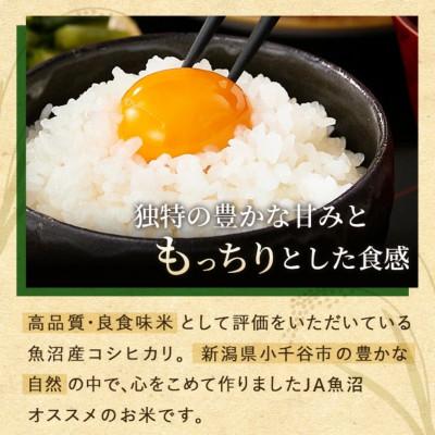ふるさと納税 小千谷市 【2ヵ月毎定期便】新潟県 魚沼産 コシヒカリ 精米10kg お申込み後に精米 おぢや米全3回_1