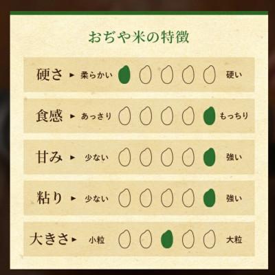 ふるさと納税 小千谷市 【2ヵ月毎定期便】新潟県 魚沼産 コシヒカリ 精米10kg お申込み後に精米 おぢや米全3回_2