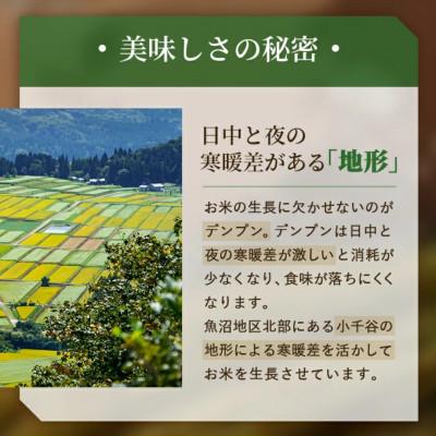 ふるさと納税 小千谷市 【2ヵ月毎定期便】新潟県 魚沼産 コシヒカリ 精米10kg お申込み後に精米 おぢや米全3回_3