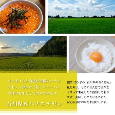 ふるさと納税 野々市市 【毎月定期便】【家庭料理にぴったりの旨み】石川県野々市市産ハナエチゼン玄米 5kg全3回_1