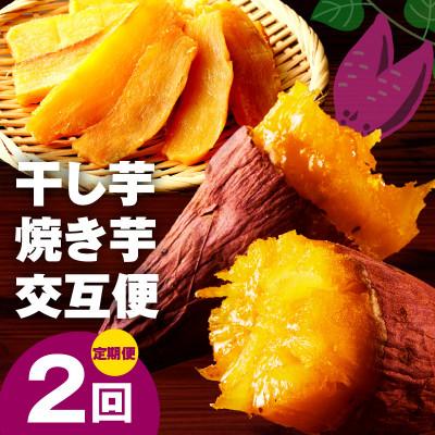 ふるさと納税 泉佐野市 [毎月定期便]干し芋 600g/焼き芋 1kg 全2回