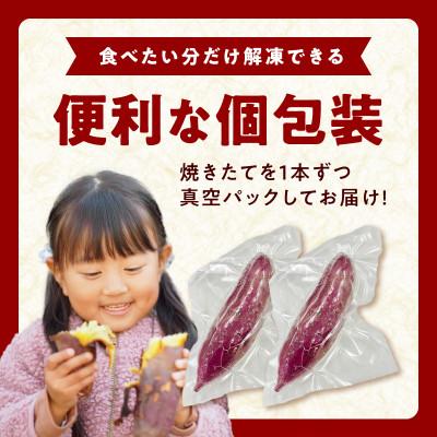 ふるさと納税 泉佐野市 【毎月定期便】干し芋屋の焼き芋 紅はるか約1kg 個包装4〜6本入り 全4回 099Z528_2