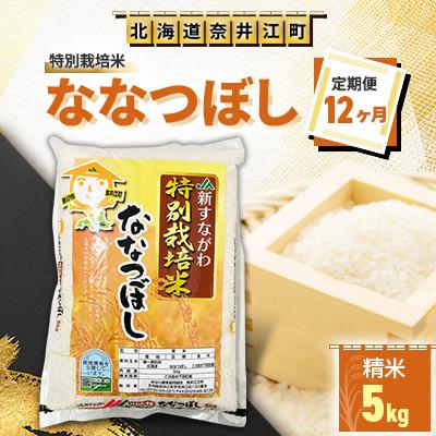 ふるさと納税 奈井江町 [毎月定期便][12ヶ月連続]特別栽培米「ななつぼし5kg」全12回