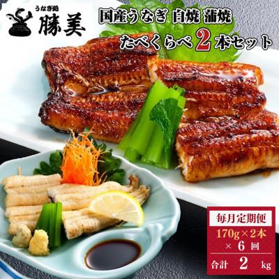 ふるさと納税 浜松市 [毎月定期便]国産うなぎ白焼 蒲焼 170g×2尾セット全6回