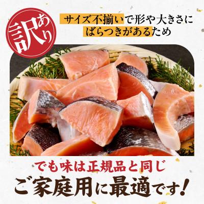 ふるさと納税 泉佐野市 【毎月定期便】銀鮭 切身 約50g×20切れ お弁当サイズ 小分け 訳あり サイズ不揃い全3回_1