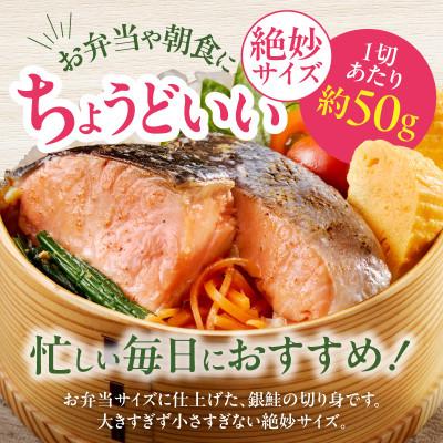 ふるさと納税 泉佐野市 【毎月定期便】銀鮭 切身 約50g×20切れ お弁当サイズ 小分け 訳あり サイズ不揃い全3回_2