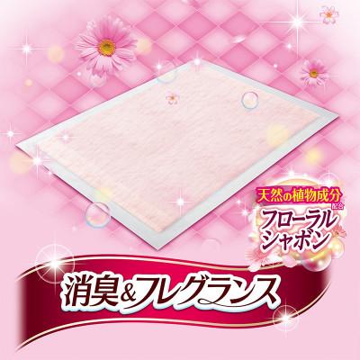 ふるさと納税 名張市 【毎月定期便】デオシート消臭\u0026フレグラフローラルシャボン　R120枚×4犬[53940931]全2回_2