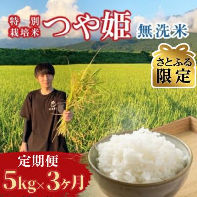 ふるさと納税 酒田市 [発送月固定定期便][さとふる限定]先行受付 無洗米 つや姫 5kg 10〜12月発送全3回