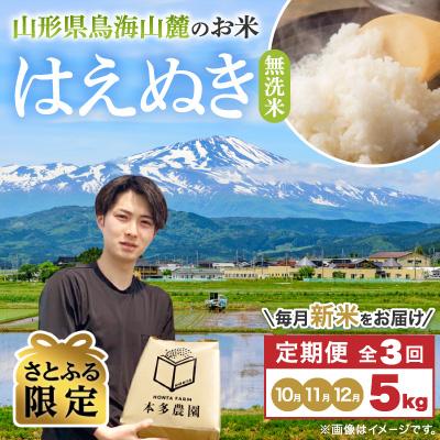 ふるさと納税 酒田市 [発送月固定定期便] 新米受付 無洗米 はえぬき 5kg 10〜12月発送全3回[さとふる限定]