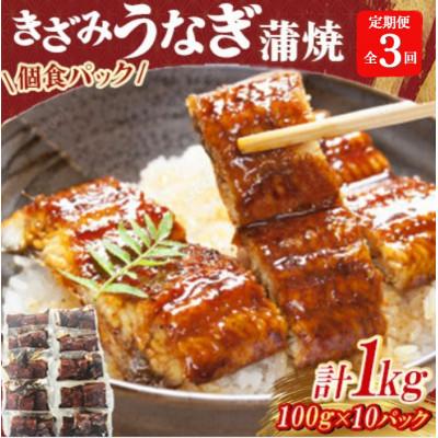 ふるさと納税 広川町 [毎月定期便]中国産 うなぎ刻み蒲焼 計1kg(100g×10パック) 全3回
