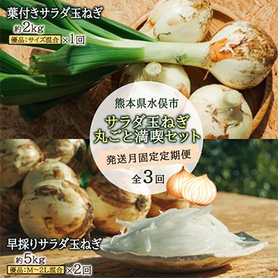 ふるさと納税 水俣市 [発送月固定定期便]サラダ玉ねぎ丸ごと満喫セット全3回