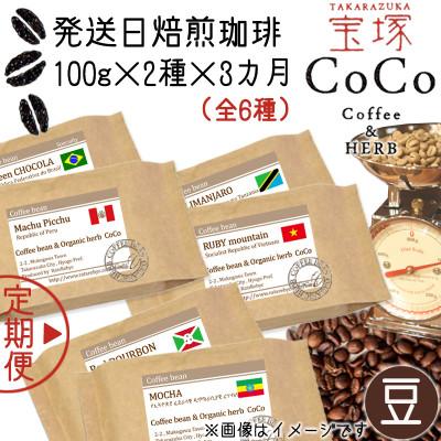 ふるさと納税 宝塚市 [毎月定期便][宝塚]3ヶ月定期便mini[豆](発送日自家焙煎珈琲豆・全6種 計600g)全3回