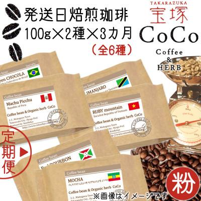 ふるさと納税 宝塚市 [毎月定期便][宝塚]3ヶ月定期便mini[粉](発送日自家焙煎珈琲豆・全6種 計600g)全3回
