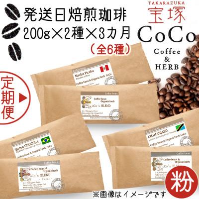 ふるさと納税 宝塚市 [毎月定期便][宝塚]3ヶ月の定期便B[粉](発送日自家焙煎珈琲豆・全6種 計1.2kg)全3回