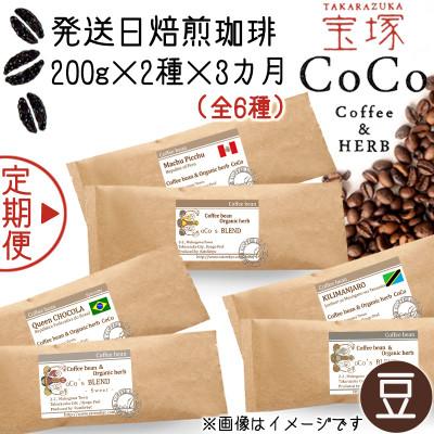 ふるさと納税 宝塚市 [毎月定期便][宝塚]3ヶ月の定期便B[豆](発送日自家焙煎珈琲豆・全6種 計1.2kg)全3回