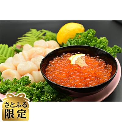 ふるさと納税 北見市 [発送月固定定期便][さとふる限定]刺身ホタテ&amp;いくら醤油漬け&amp;大粒しじみ貝セット全6回