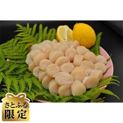 ふるさと納税 北見市 [発送月固定定期便][さとふる限定]訳あり 無添加お刺身帆立 1kgセット全6回