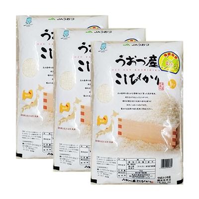 魚津市 ふるさと納税 年10月発送開始 定期便 富山県うおづ産コシヒカリ15kg 5kg 3袋 全12回 Www Nlqp Com