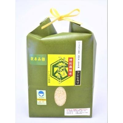 開店祝い コシヒカリ 南魚沼市 ふるさと納税 ふるさと納税 全12回 22年1月発送開始 定期便 いしざかさん家 塩沢従来コシヒカリ特別栽培米4 5kg 南魚沼市 米 雑穀 粉類