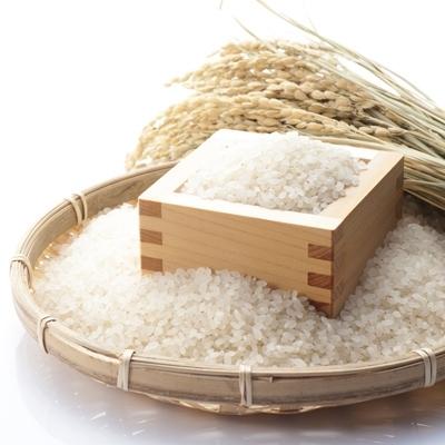 ふるさと納税 倉 南魚沼市 21年10月発送開始 定期便 南魚沼産こしひかり2kg 全12回 雪蔵貯蔵米