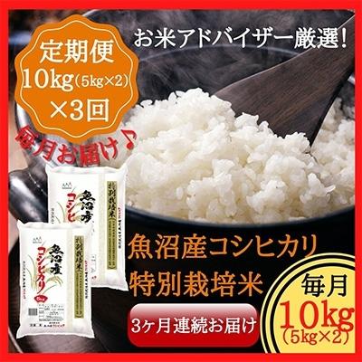 超格安価格 ふるさと納税 コシヒカリ 魚沼市 ふるさと納税 魚沼市 全3回 精米10kg 22年1月発送開始 定期便 魚沼産コシヒカリ特別栽培米 米 雑穀 粉類
