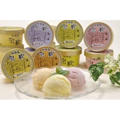 最大41 Offクーポン ふるさと納税 帯広市 22年6月発送開始 定期便 乳蔵北海道アイスクリーム5種セット 計10個 全3回 Wantannas Go Id