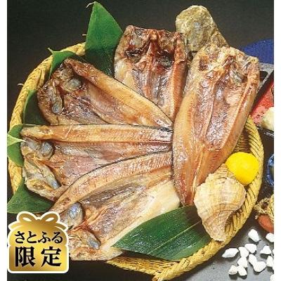 ふるさと納税 北見市 22年9月発送開始 定期便 さとふる限定 魚