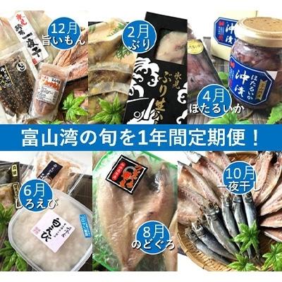 再入荷 ふるさと納税 のどぐろ 氷見市 ふるさと納税 氷見市 全6回 21年12月発送開始 定期便 富山湾の幸を旬に1年間定期便 氷見ぶり 白えび ほたるいか 魚介類 海産物