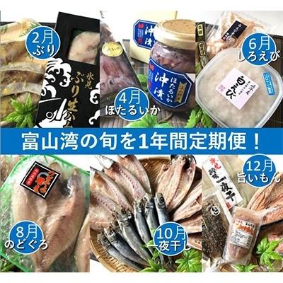 ふるさと納税 氷見市 22年2月発送開始 定期便 富山湾の幸を旬に1年間定期便 氷見ぶり 白えび ほたるいか 全6回 さとふる 通販 Yahoo ショッピング