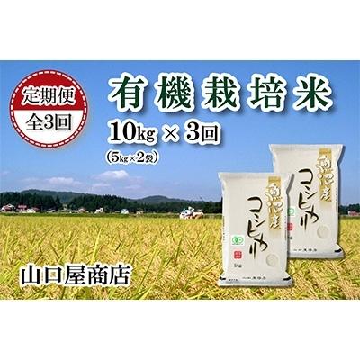 良質 十日町市 ふるさと納税 コシヒカリ 全3回 21年12月発送開始 定期便 厳選 十日町育ち 有機栽培米 魚沼産コシヒカリ10kg 十日町市 ふるさと納税 米 雑穀 粉類 Www Monet Kiev Ua