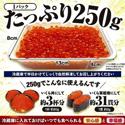 ふるさと納税 白糠町 2023年1月発送開始『定期便』年4回発送!北海道海鮮紀行いくら(醤油味)(500g) 全4回｜y-sf｜02