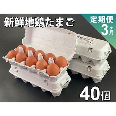 ふるさと納税 阿蘇市 2022年8月発送開始『定期便』阿蘇の新鮮たまご　波野地鶏有精卵40個　全3回