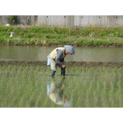 ふるさと納税 魚沼市 2022年12月発送開始『定期便』無洗米お米マイスター厳選魚沼産コシヒカリ100%6kg全6回|y-sf|04
