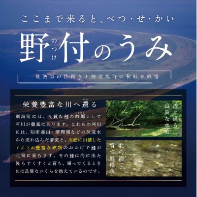 ふるさと納税 別海町 2022年12月発送開始『定期便』北海道産 鮭卵 塩いくら250g 全3回|y-sf|03