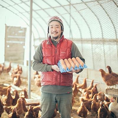 【訳あり品】 ふるさと納税 厚真町 2023年12月発送開始『定期便』小林農園の平飼い卵(有精卵)25個【S-030】全12回 【YWU1362967922】(49680円)