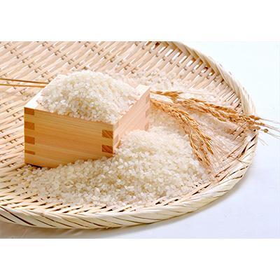 【ラスト1点】 ふるさと納税 小矢部市 2023年12月発送開始『定期便』富山県メルヘン米コシヒカリ計100kg(10kg×10回)全10回 【WSO2384094403】(86900円)