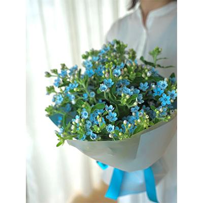 【メール便】 ふるさと納税 芸西村 2024年1月発送開始『定期便』芸西村産生花ブルースター花束 ブーケ 初回花瓶付 延命剤付全12回 【VQL3307553122】(120560円)