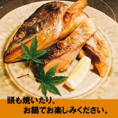 ふるさと納税 南房総市 【2023年2月中旬発送】【1.4kg前後】北海道産新巻鮭1本(塩鮭切身)|y-sf|02